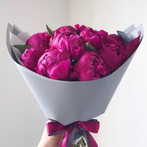 11 малиновых пионов
